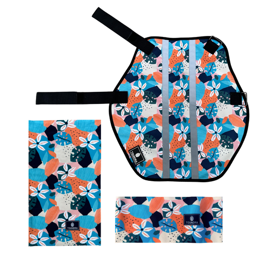 Pack - Bourgeon