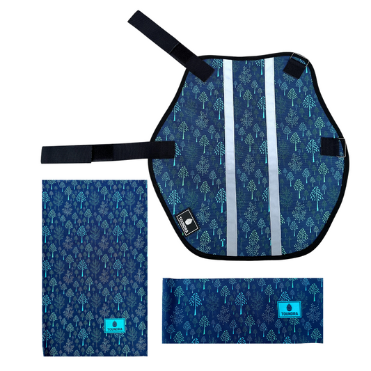 Pack - Lichen