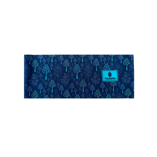 Bandeau - Lichen